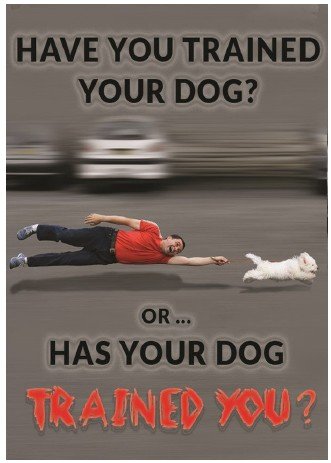 Have You Trained Your Dog? Or Has Your Dog Trained You?